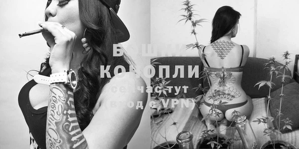 молекула духа Аркадак