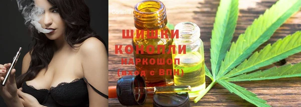 молекула духа Аркадак