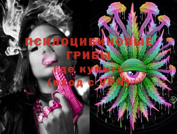 молекула духа Аркадак