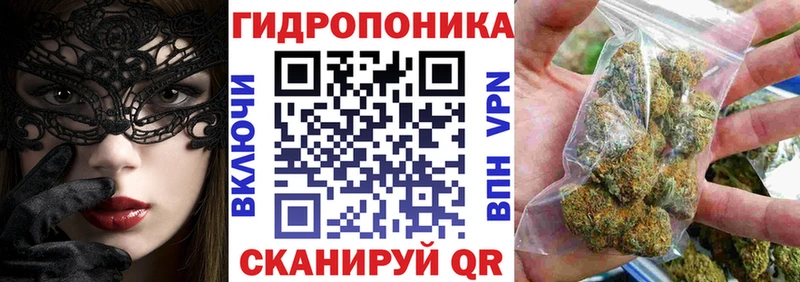 Конопля SATIVA & INDICA Шарья